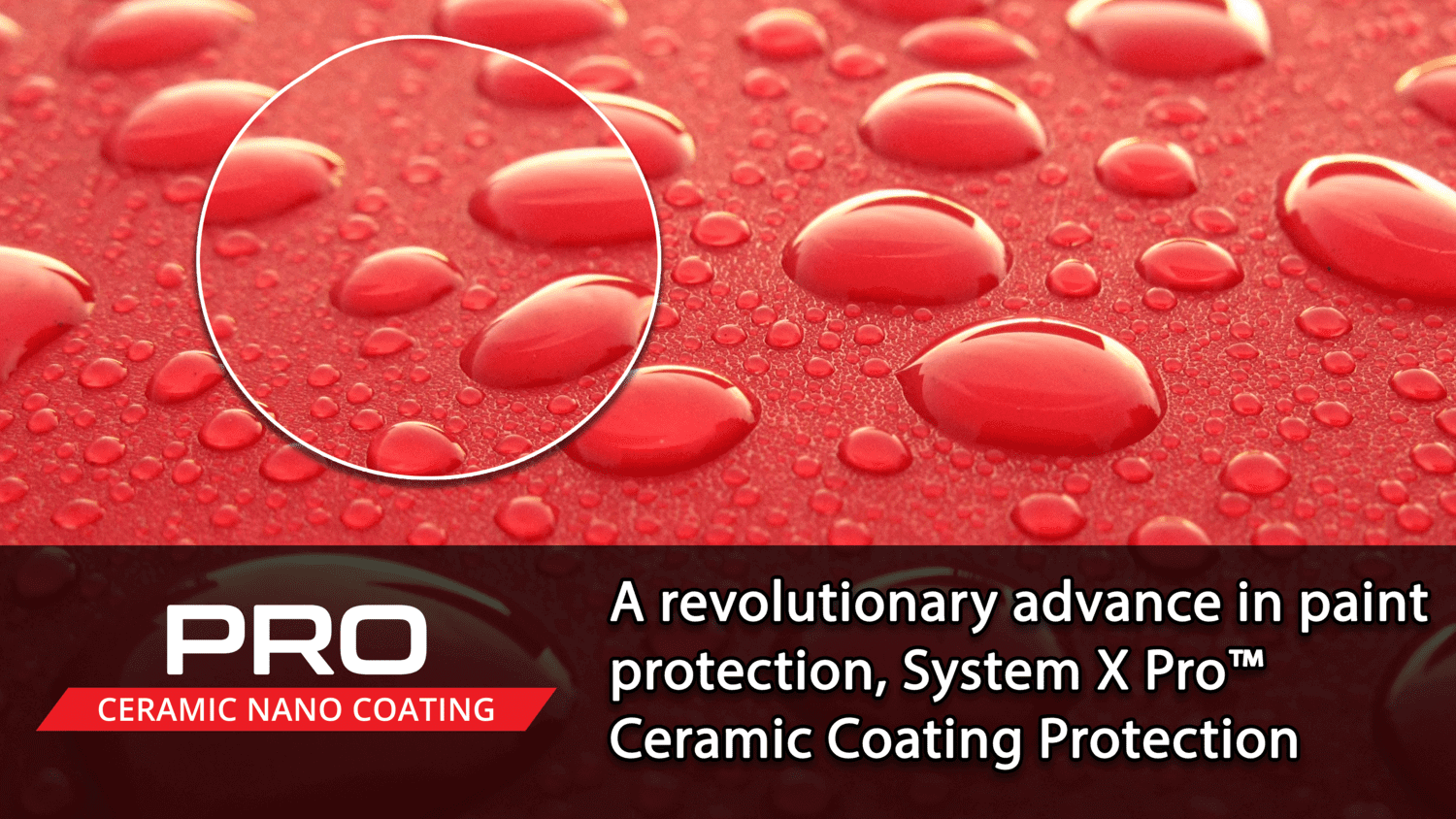 Ceramic coating professional protection banner